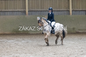 ZH1 hobby (1321).JPG