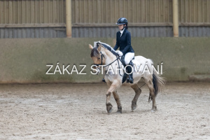 ZH1 hobby (1322).JPG