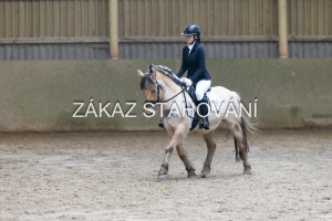 ZH1 hobby (1323).JPG