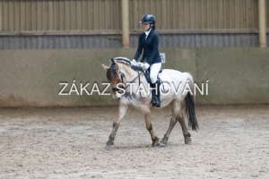 ZH1 hobby (1324).JPG