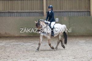 ZH1 hobby (1325).JPG