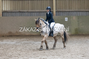 ZH1 hobby (1326).JPG