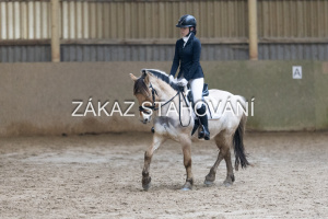 ZH1 hobby (1327).JPG