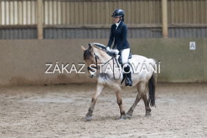 ZH1 hobby (1328).JPG