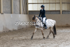 ZH1 hobby (1329).JPG