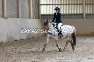 ZH1 hobby (1330).JPG