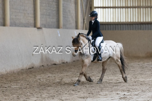 ZH1 hobby (1331).JPG