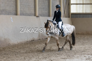 ZH1 hobby (1332).JPG