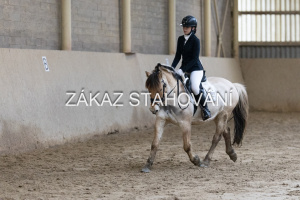 ZH1 hobby (1333).JPG