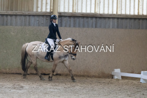 ZH1 hobby (1334).JPG