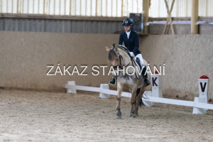 ZH1 hobby (1335).JPG