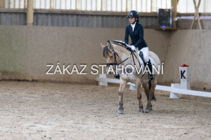 ZH1 hobby (1336).JPG