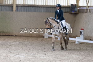 ZH1 hobby (1337).JPG