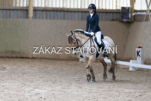 ZH1 hobby (1338).JPG