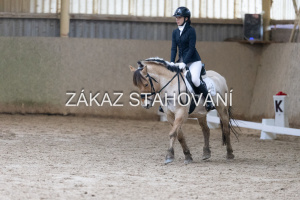 ZH1 hobby (1339).JPG