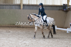 ZH1 hobby (1340).JPG