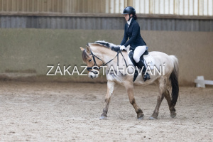 ZH1 hobby (1341).JPG