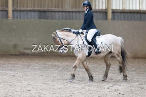 ZH1 hobby (1342).JPG