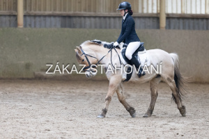 ZH1 hobby (1343).JPG