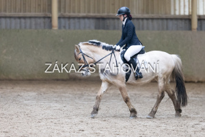 ZH1 hobby (1344).JPG