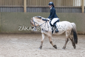 ZH1 hobby (1345).JPG