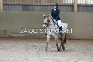 ZH1 hobby (1346).JPG