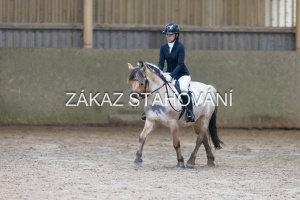 ZH1 hobby (1347).JPG