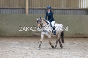 ZH1 hobby (1348).JPG