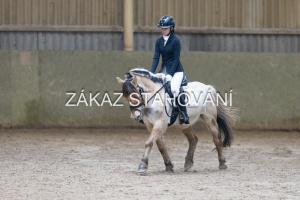 ZH1 hobby (1349).JPG