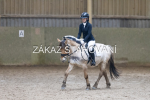 ZH1 hobby (1350).JPG