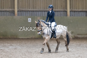 ZH1 hobby (1352).JPG