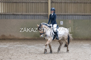 ZH1 hobby (1353).JPG