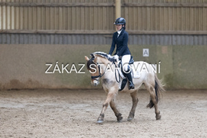 ZH1 hobby (1354).JPG