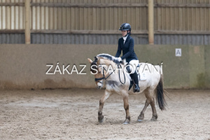 ZH1 hobby (1355).JPG