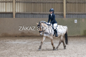 ZH1 hobby (1356).JPG