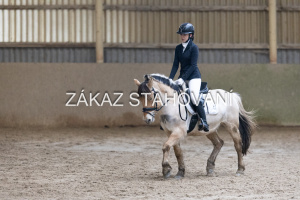 ZH1 hobby (1357).JPG