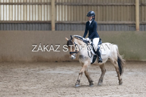 ZH1 hobby (1358).JPG