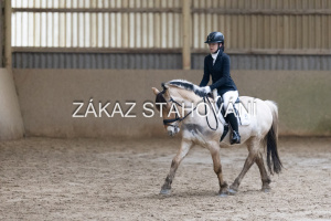 ZH1 hobby (1359).JPG