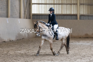 ZH1 hobby (1360).JPG