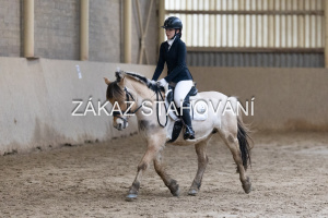 ZH1 hobby (1361).JPG