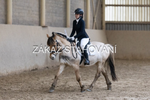 ZH1 hobby (1362).JPG