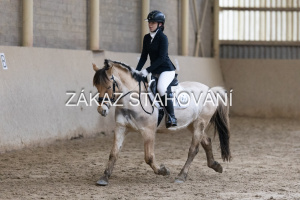 ZH1 hobby (1363).JPG