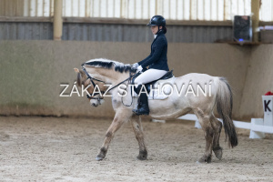 ZH1 hobby (1364).JPG