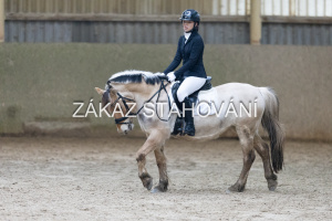 ZH1 hobby (1365).JPG