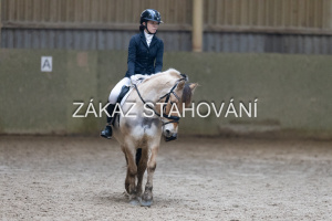 ZH1 hobby (1366).JPG