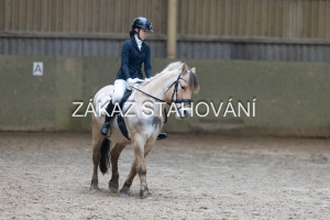 ZH1 hobby (1368).JPG