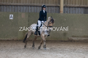 ZH1 hobby (1369).JPG