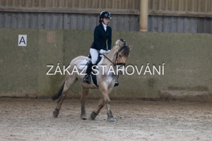 ZH1 hobby (1370).JPG