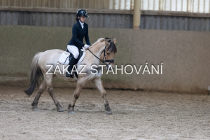 ZH1 hobby (1371).JPG