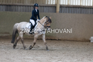 ZH1 hobby (1372).JPG